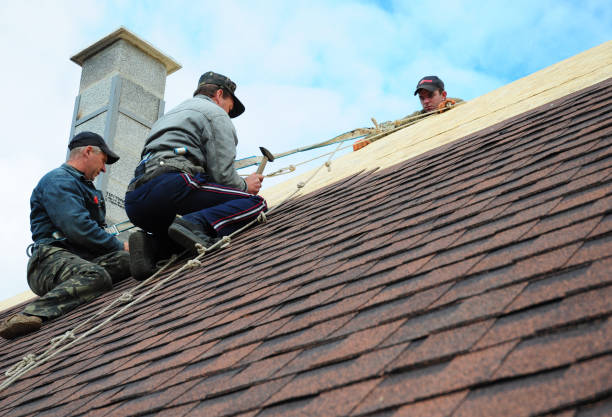 Gutter Installation and Roofing in Pleasant View, UT